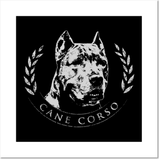 Cane Corso - Italian Mastiff Posters and Art